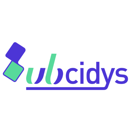 Subcidys